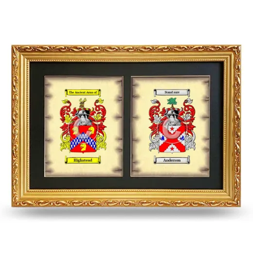 Double Coat of Arms Framed - Gold