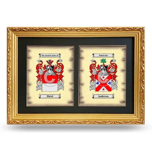 Double Coat of Arms Framed - Gold