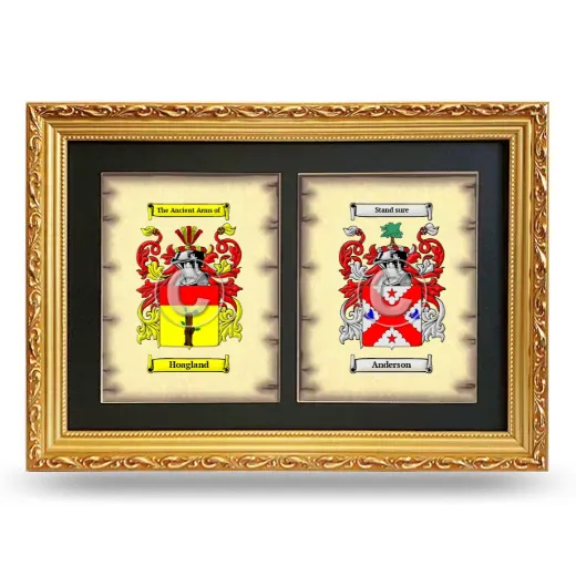 Double Coat of Arms Framed - Gold