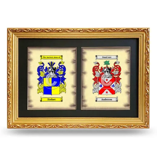 Double Coat of Arms Framed - Gold