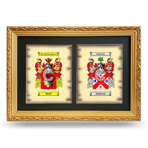 Double Coat of Arms Framed - Gold