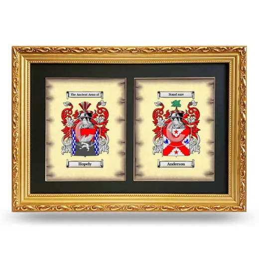 Double Coat of Arms Framed - Gold