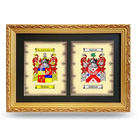 Double Coat of Arms Framed - Gold