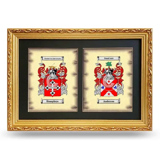 Double Coat of Arms Framed - Gold