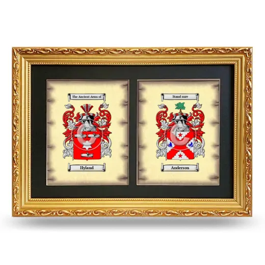 Double Coat of Arms Framed - Gold