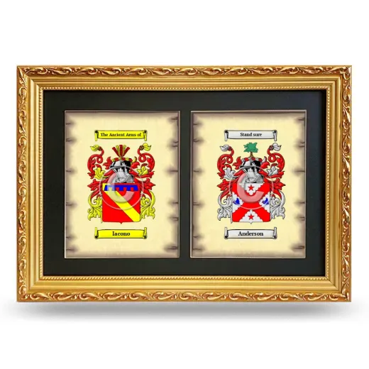 Double Coat of Arms Framed - Gold