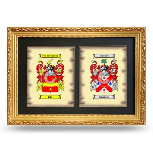 Double Coat of Arms Framed - Gold