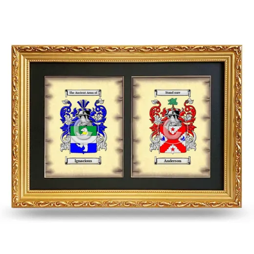 Double Coat of Arms Framed - Gold