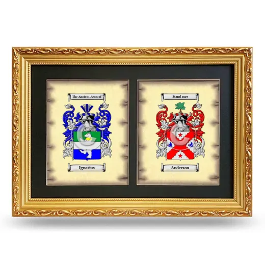 Double Coat of Arms Framed - Gold