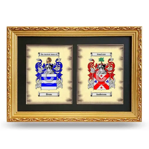 Double Coat of Arms Framed - Gold