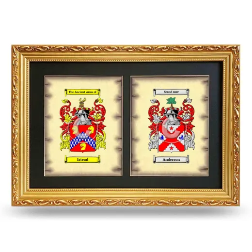 Double Coat of Arms Framed - Gold