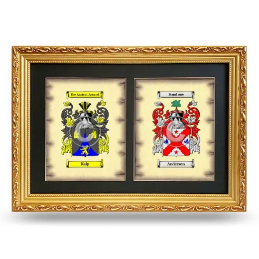 Double Coat of Arms Framed - Gold