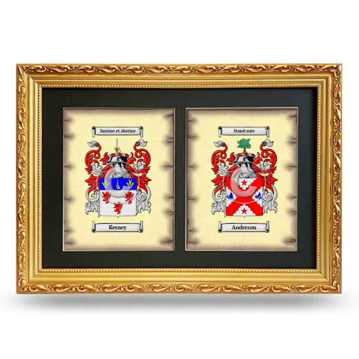 Double Coat of Arms Framed - Gold