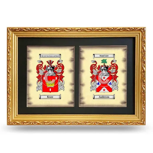 Double Coat of Arms Framed - Gold