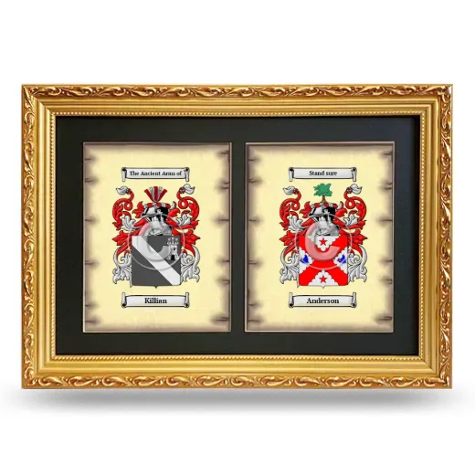 Double Coat of Arms Framed - Gold