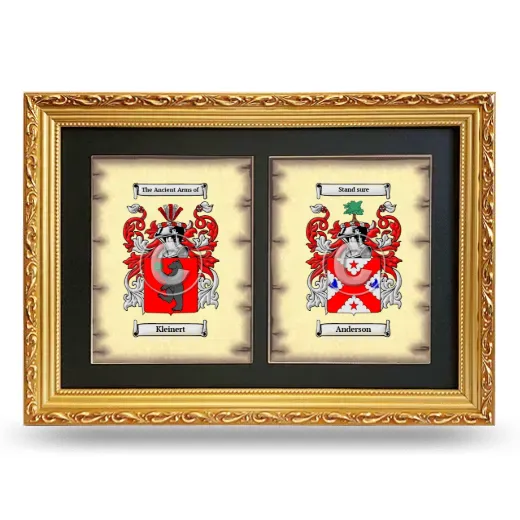 Double Coat of Arms Framed - Gold