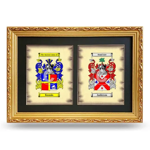 Double Coat of Arms Framed - Gold
