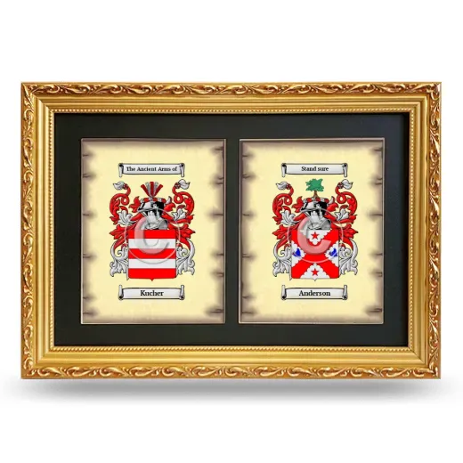 Double Coat of Arms Framed - Gold