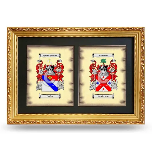 Double Coat of Arms Framed - Gold