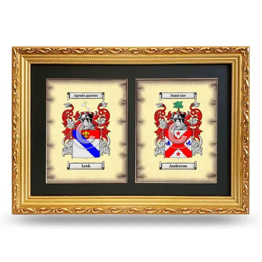 Double Coat of Arms Framed - Gold