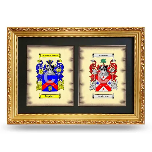 Double Coat of Arms Framed - Gold