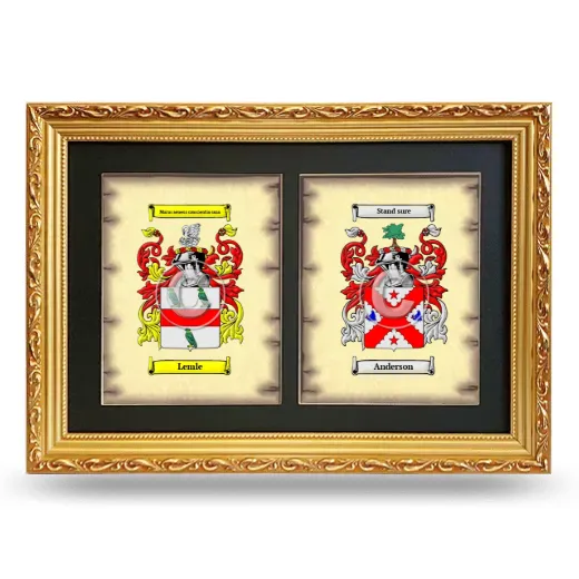Double Coat of Arms Framed - Gold