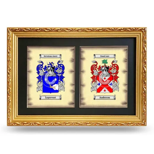 Double Coat of Arms Framed - Gold