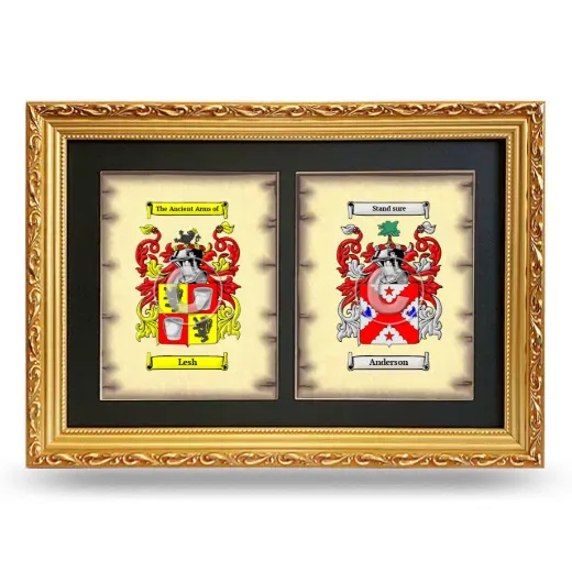 Double Coat of Arms Framed - Gold