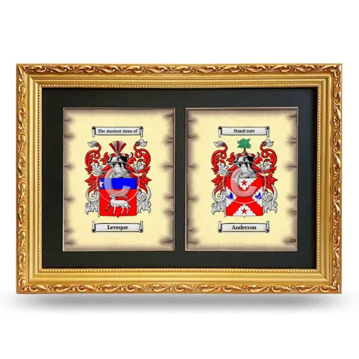 Double Coat of Arms Framed - Gold