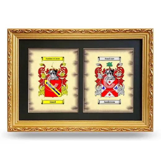Double Coat of Arms Framed - Gold