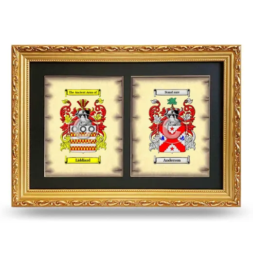 Double Coat of Arms Framed - Gold
