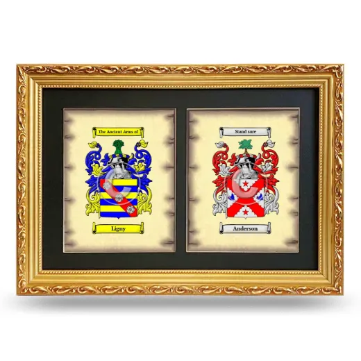 Double Coat of Arms Framed - Gold