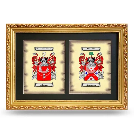 Double Coat of Arms Framed - Gold