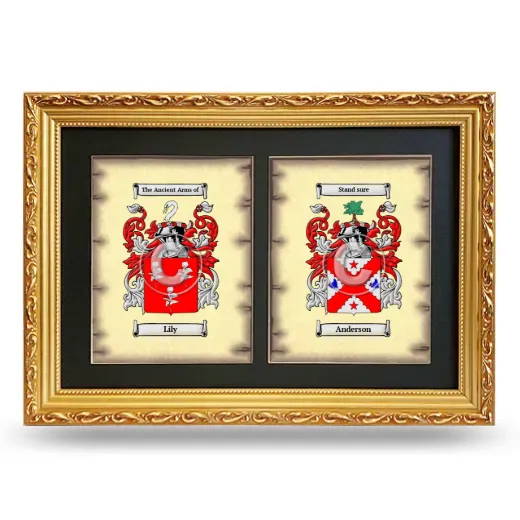 Double Coat of Arms Framed - Gold