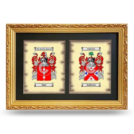 Double Coat of Arms Framed - Gold