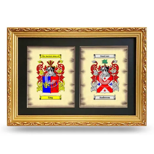 Double Coat of Arms Framed - Gold