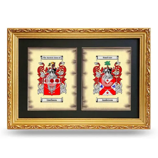 Double Coat of Arms Framed - Gold