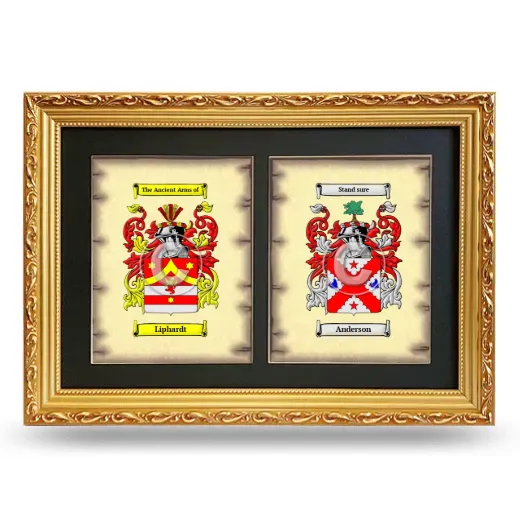 Double Coat of Arms Framed - Gold