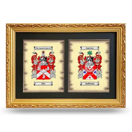 Double Coat of Arms Framed - Gold