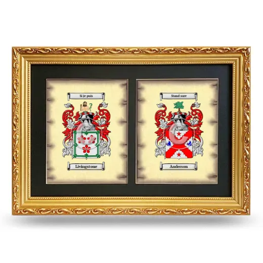 Double Coat of Arms Framed - Gold