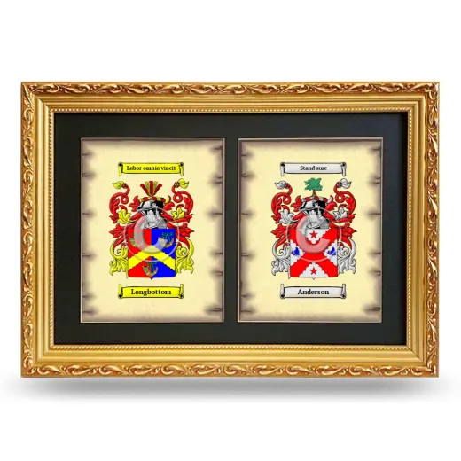 Double Coat of Arms Framed - Gold