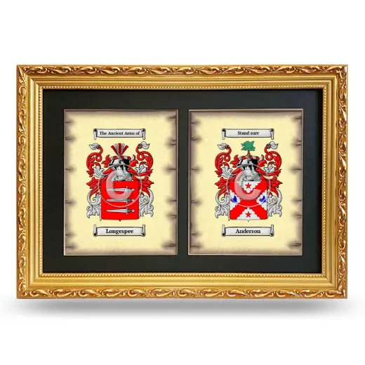 Double Coat of Arms Framed - Gold