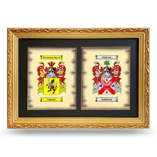 Double Coat of Arms Framed - Gold