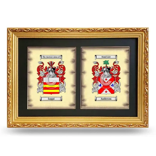 Double Coat of Arms Framed - Gold