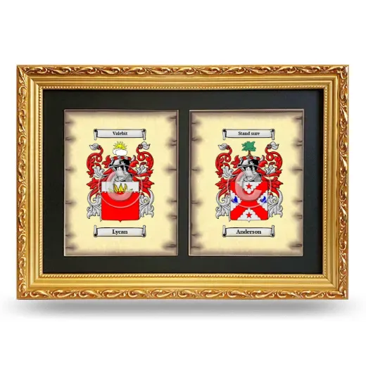 Double Coat of Arms Framed - Gold