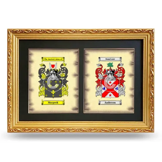 Double Coat of Arms Framed - Gold