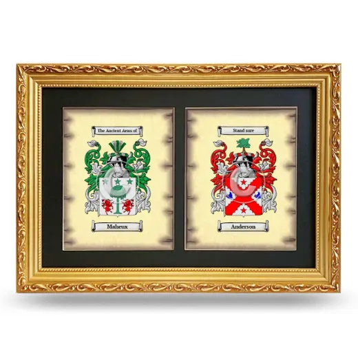 Double Coat of Arms Framed - Gold