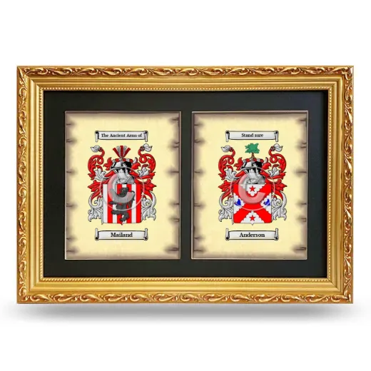 Double Coat of Arms Framed - Gold
