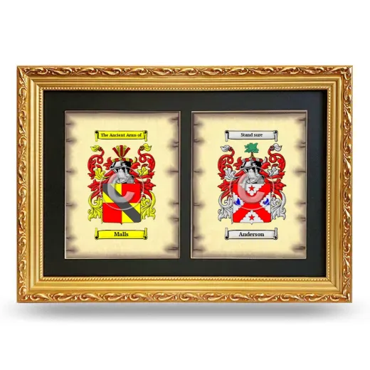 Double Coat of Arms Framed - Gold