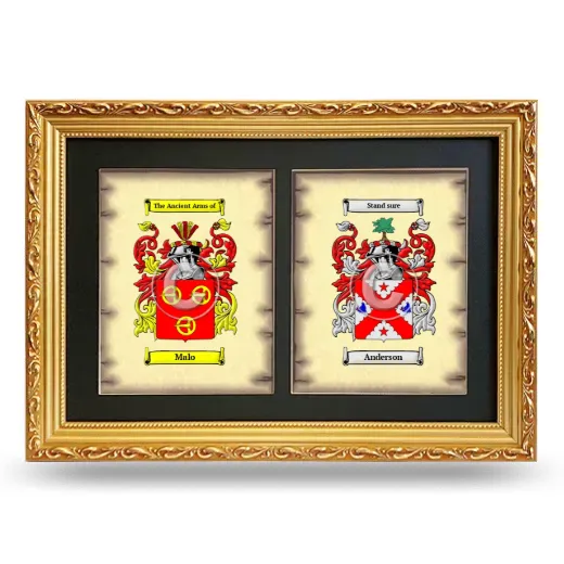 Double Coat of Arms Framed - Gold